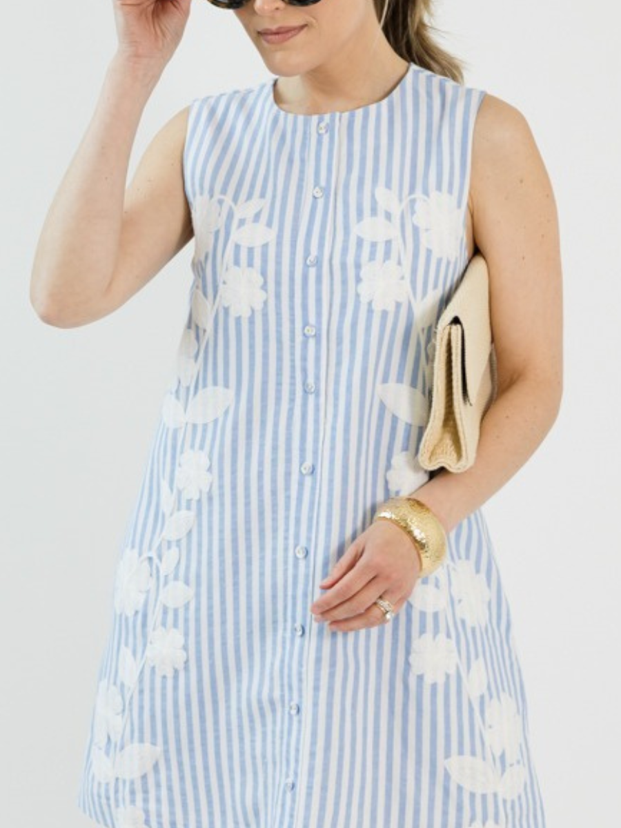 Embroidered Button Dress, Blue